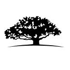 WisdomTree U.S. High Dividend Fund (DHS)