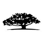 WisdomTree Emerging Markets Corporate Bond Fund (EMCB)