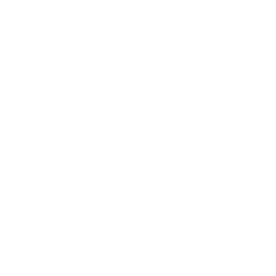 Arteris, Inc. (AIP)