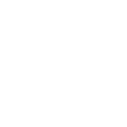 Axon Enterprise, Inc. (AXON)