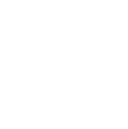 CSX Corporation (CSX)