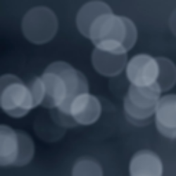 Investors Title Company (ITIC)