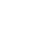 ON Semiconductor Corporation (ON)