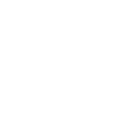 Visa Inc. (V)